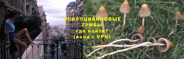 прущие крисы Алексеевка