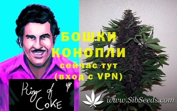 спиды Алексин