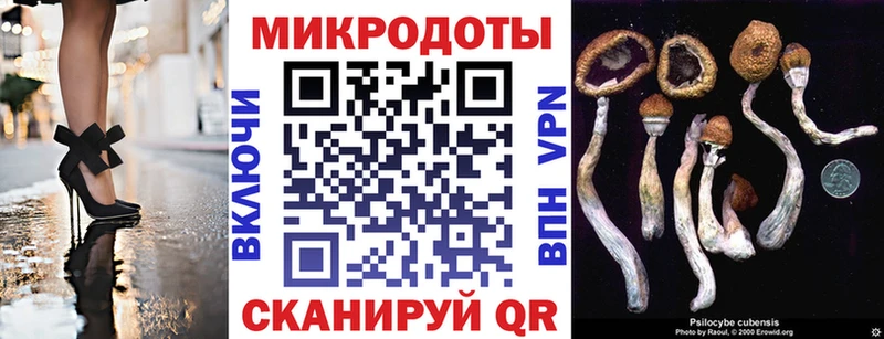 где можно купить наркотик  Арсеньев  OMG ссылка  Псилоцибиновые грибы MAGIC MUSHROOMS 